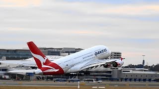 Strong Crosswind Takeoff Compilation  Sydney Airport Afternoon Plane Spotting at The Sheps Mound [upl. by Nosdrahcir]