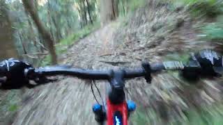 wollongong mtb kembla step up steep jank [upl. by Annayram]