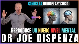 CONOCE LA NEUROPLASTICIDAD Y CREA UN NUEVO NIVEL MENTAL JOE DISPENZA EN ESPAÑOL [upl. by Isaiah628]