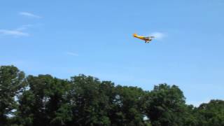 Balsa USA 13 scale Piper Cub [upl. by Shien]