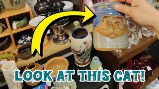 Antiquing in Pennsylvania – now that’s a nice cat [upl. by Phillis]