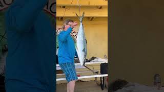 Yellowtail 2nd placefish [upl. by Winfred528]