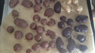 No Bake Peanut Bonbons  A Classic Foolproof Holiday Treat from bakeyourwaykitchen [upl. by Ruhl]