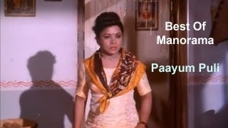 Paayum Puli பாயும் புலி  The Best of Manorama [upl. by Airrehs674]