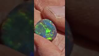 Bushmen Find An Exquisite RARE Black Opal outbackopalhunters shorts [upl. by Hardej]