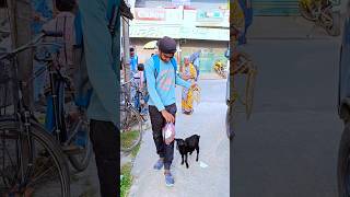 ছাগলকে নিয়ে সারাদিন ঘুরলাম বালুরঘাটে 🐐 minivlog vlog [upl. by Lennor]