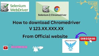 How to Download Chromedriver 123 chromedriver webdriver selenium [upl. by Dimmick]