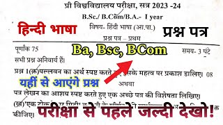 Hindi Language Question Paper 2024 BA BSC BCom Foundation Course Hindi Language imp ques [upl. by Nylyak]