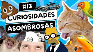 Curiosidades ASOMBROSAS Que No Sabías ⏰😲 13 Pancho Curioso [upl. by Nari816]