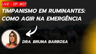 Live EP 07  Timpanismo em Ruminantes Como Agir na Emergência  05112024 [upl. by Nauht]