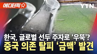 에디터픽 이차전지 핵심 소재 금맥 찾았다…중국 공급망 의존 탈피  YTN [upl. by Jansson]