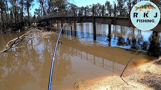 Bait fishing at HorseShoe Lagoon in Echuca Moama [upl. by Euv192]