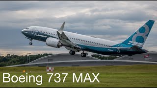 Boeing 737 MAX Fast rotation and vertical climb [upl. by Acirtal]