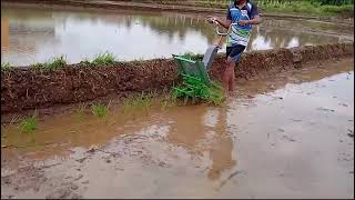 Indias First Battery Operated Rice Transplanter Machine 🌾🌾 [upl. by Neysa939]