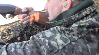 The Shooting Show – back out at the pigeons with Geoff Garrod [upl. by Iene732]