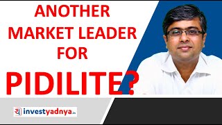 Reasons to Keep Pidilite Stock on Investment Radar [upl. by Nairrod51]