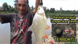 Racikan umpan ikan Tawes Terbukti ampuh [upl. by Ellitnahc]