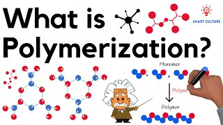 What is Polymerization [upl. by Arodnahs970]