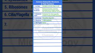 Common eukaryotic organelles and their functions  microbiology biology basicappliedmicrobiology [upl. by Enaenaj]