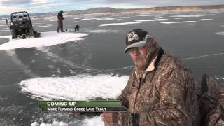 Flaming Gorge Lake Trout amp Rainbow Trout Through The Ice [upl. by Greer282]