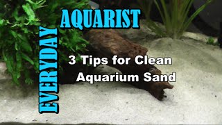 3 Tips for Clean Aquarium Sand [upl. by Kcinomod]