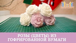 Розы цветы из гофрированной бумаги [upl. by Noam]