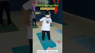 Pratyahara Yoga Flow virajyoga seniorcitizens yogaholic yoga YogaFlow yogalove view yogs [upl. by Bobker663]