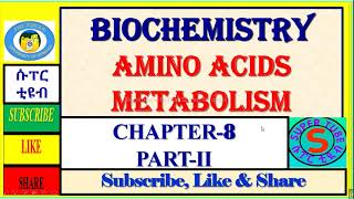 2 Amino acid metabolism transamination deamination biochemistry metabolism [upl. by Urbani]