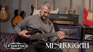 Two Guitars One Amp Fortin MESHUGGAH [upl. by Nylecyoj]