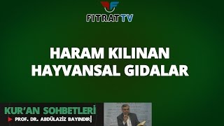 Kuran Sohbetleri  Haram Kılınan Hayvansal Gıdalar Mâide 3 Ayet [upl. by Ainalem]