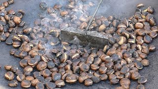 Roasting Chestnuts Slovenia and Italy Street Food [upl. by Grayce]