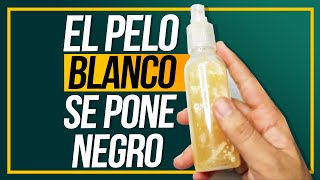 ¡Adiós Canas y Hola Cabello Negro Poderoso Tónico Para Un Pelo De Ensueño [upl. by Adikram823]