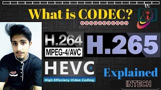 What is CODEC H264 vs H265  Urdu Hindi [upl. by Piotr206]