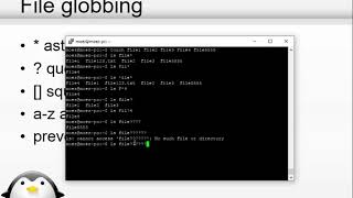 13Linux basics File Globbing [upl. by Hakim]