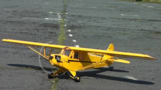 Hangar 9 J3 Piper Cub 14scale [upl. by Aikyn]