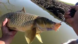 Burrendong Dam Fishing [upl. by Ebner]