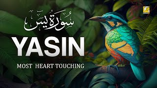 Worlds most beautiful Quran recitation of Surah Yasin Yaseen سورة يس  Zikrullah TV [upl. by Carder507]