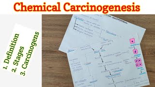 Chemical Carcinogenesis  Carcinogenesis  Neoplasia [upl. by Enilrad947]