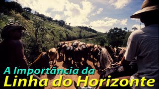 A Importância da Linha do Horizonte [upl. by Boone]