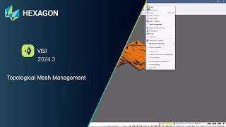 Topological Mesh Management in VISI 20243 [upl. by Ayortal476]
