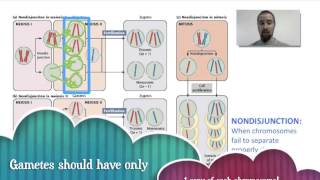 Biology 077 Cancer and Chromosomal Abnormalities [upl. by Zeta]