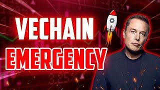 VET MUST KNOW EMERGENCY NEWS  VECHAIN SHOCKING PRICE PREDICTIONS FOR 2025 [upl. by Kenimod]