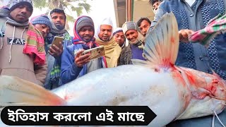 পদ্মার মাছ পদ্মায় ফেরৎ নিয়ে  Today fishmarket in Bangladeshpadma river fish market  RaselDohar [upl. by Rehpotsirhk]