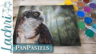 PanPastel Review amp drawing an owl demonstration  Lachri [upl. by Akirre623]