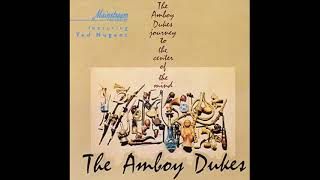 AMBOY DUKES  Journey To The Center Of The Mind 1968 VINYL US Detroit S6112 [upl. by Eltsirk]