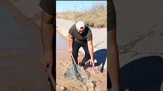 Hand Fishing Turkey balık fishing [upl. by Eves]