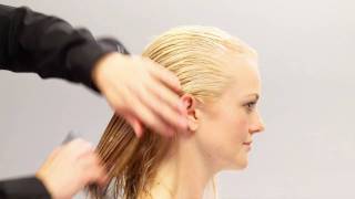 Aveda HowTo  Everyday Body amp Increased Volume for Fine Hair [upl. by Tinaret]