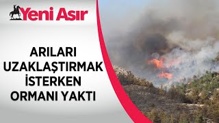 Arıları uzaklaştırmak isterken ormanı yaktı 35 hektar alan zarar gördü [upl. by Lud514]