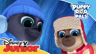 Magical Moment Antarctic Adventure ❄️  Puppy Dog Pals 🐶  Disney Junior Arabia [upl. by Ennovyhs100]