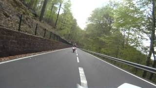 Honda CBR 600 RR PC40 CRASH goes offroad Pfälzer Wald Johanniskreuz B48 [upl. by Bullock]